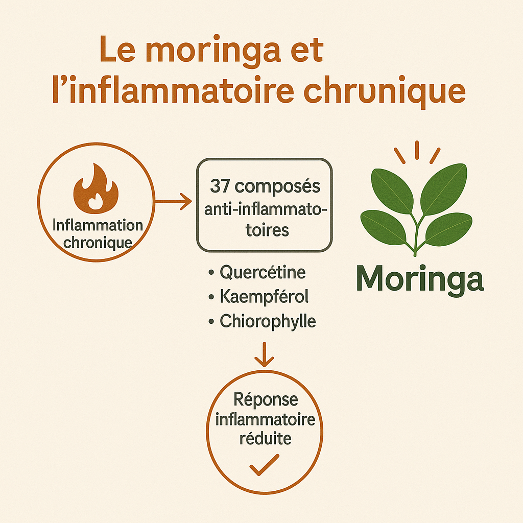 Une réponse naturelle aux inflammations de fond