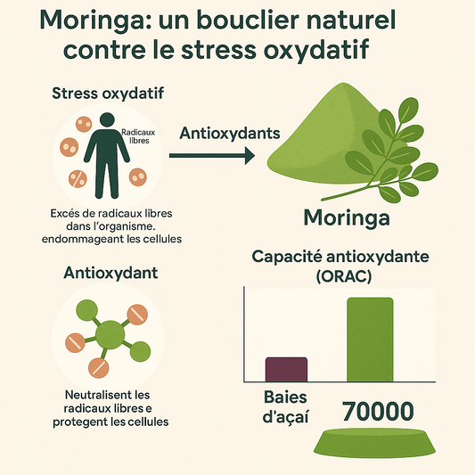 Un bouclier naturel contre le stress oxydatif